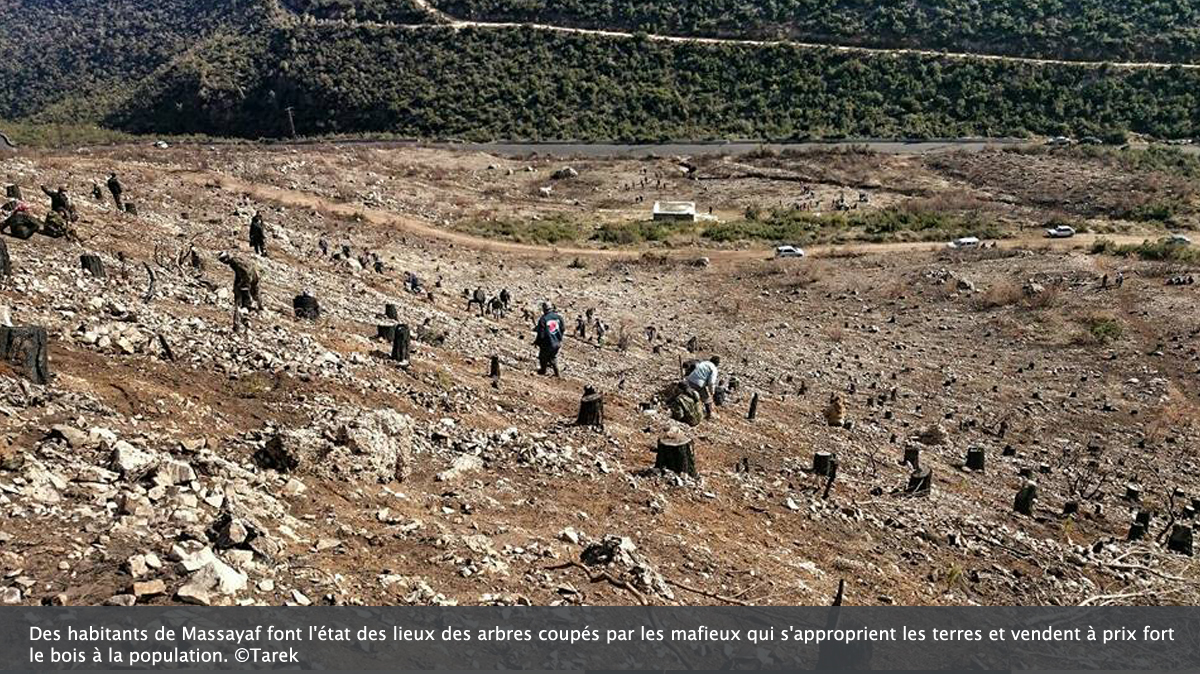 A Masayaf, les mafieux font régner leur loi