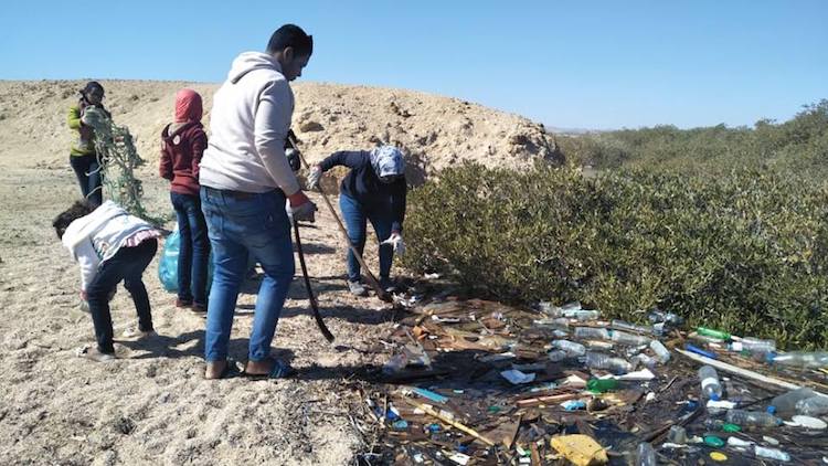 A Alexandrie, la guerre au plastique est déclarée