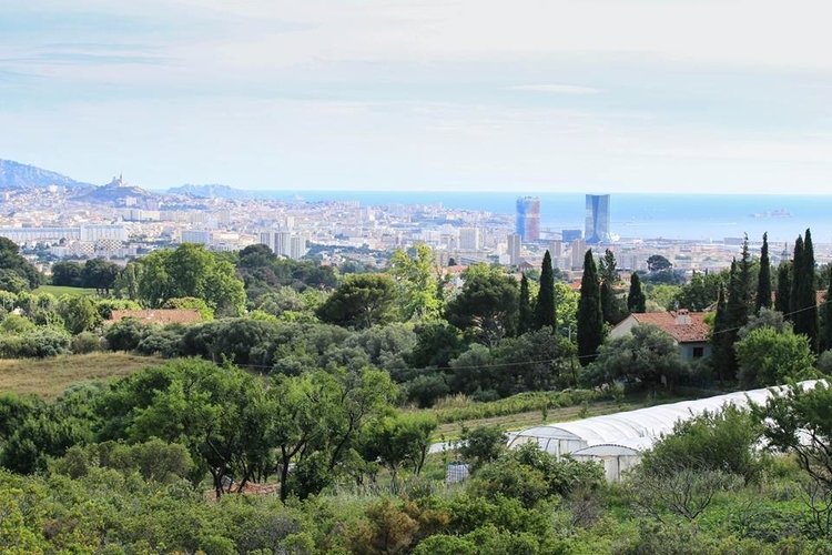 Terre de Mars, des légumes biologiques «Made in Marseille»