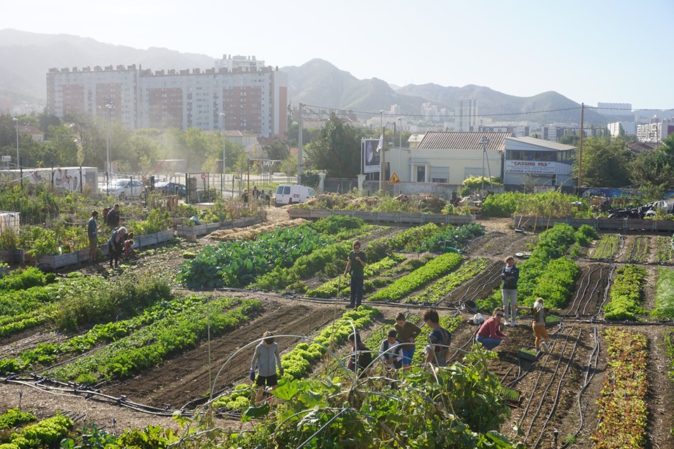 Le Talus, une décharge devenue potager