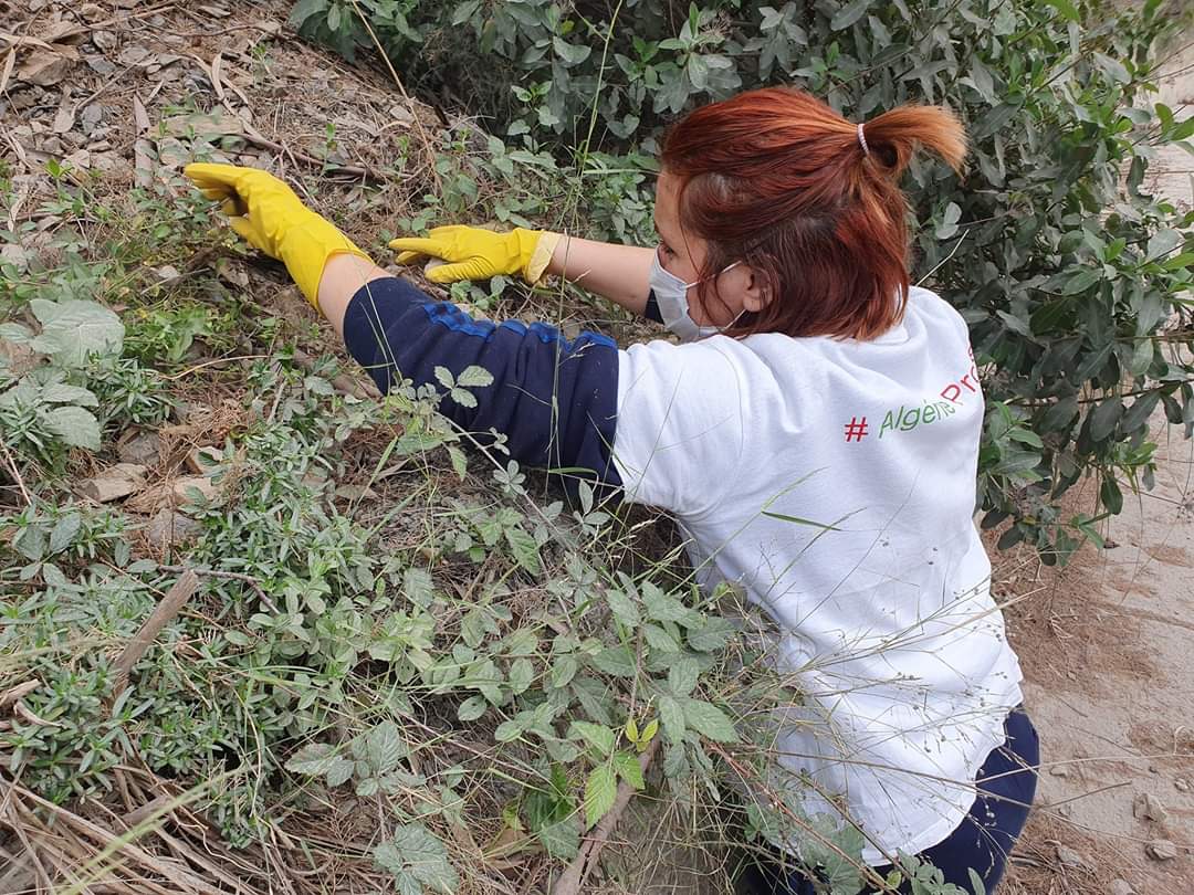 Souha, Assia et Kawter, trois Algériennes engagées pour l’environnement