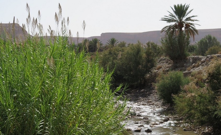 De Tétouan à Errachidia, visages d’un Maroc qui protège son environnement