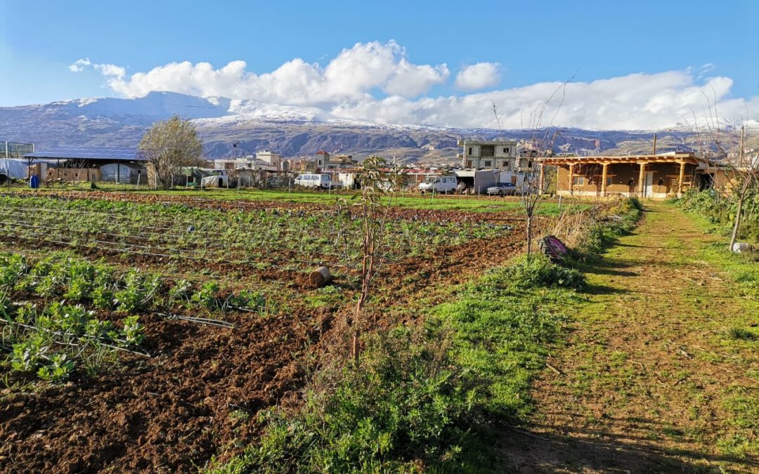 Construire son indépendance alimentaire, un défi méditerranéen