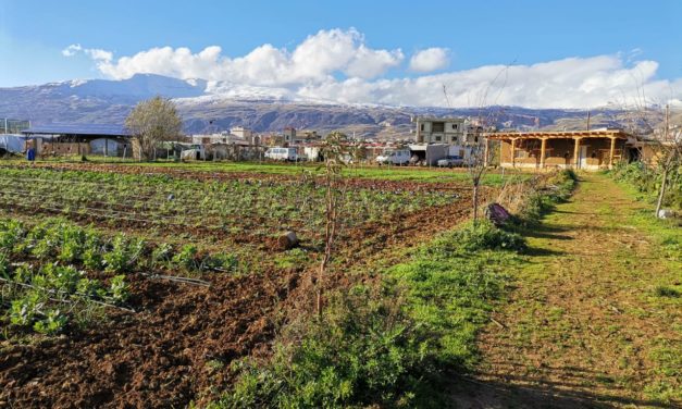 Construire son indépendance alimentaire, un défi méditerranéen