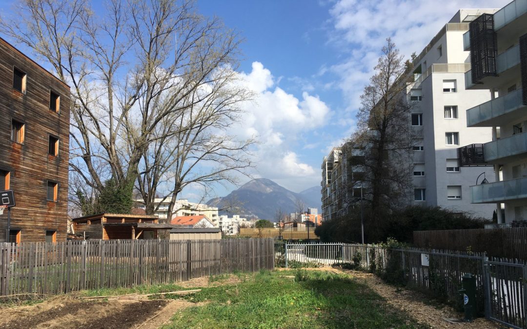 Nourrir ou dynamiser la société : Quel rôle pour l’agriculture urbaine ?