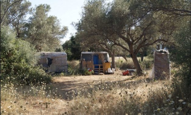 Production intensive de fruits au sud de l’Europe et exploitation de travailleur.euses étranger.ères 