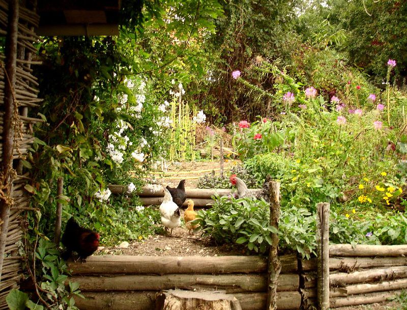 La permaculture, une révolution au compte-goutte ?