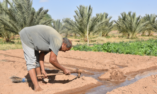 L’agriculture à l’épreuve des changements climatiques