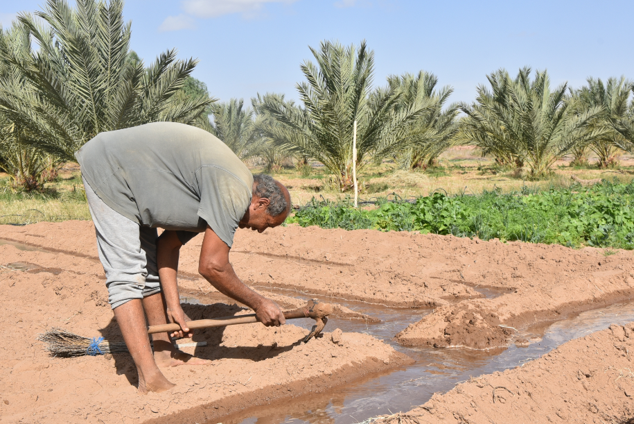 L’agriculture à l’épreuve des changements climatiques