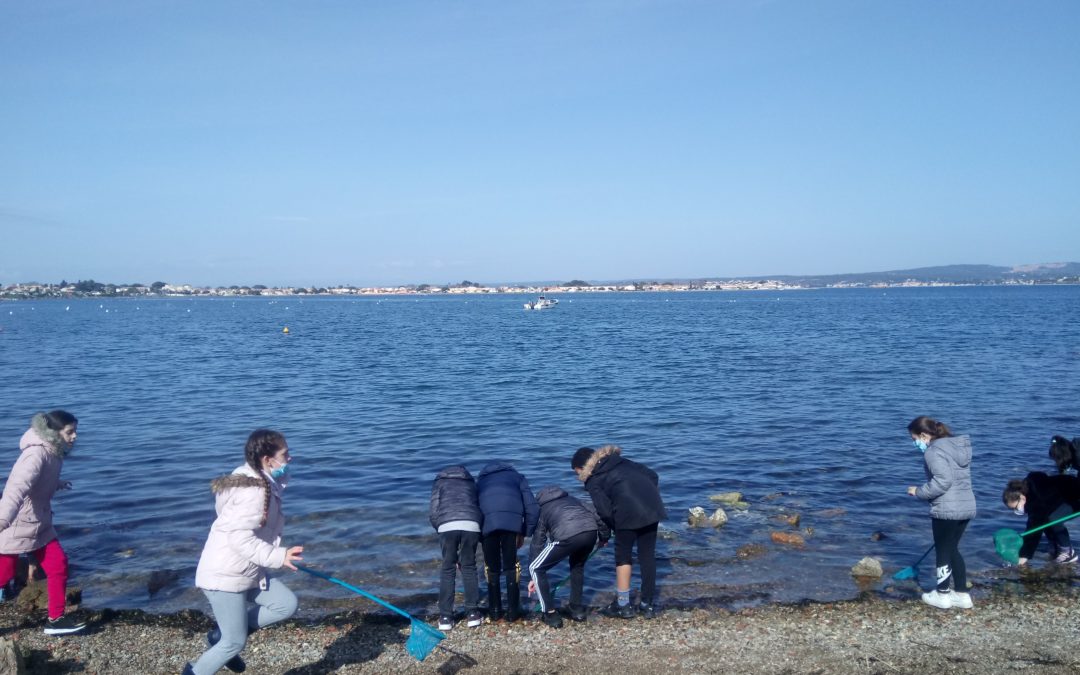 Autour de t’eau ! Classe de CE1 et CE2