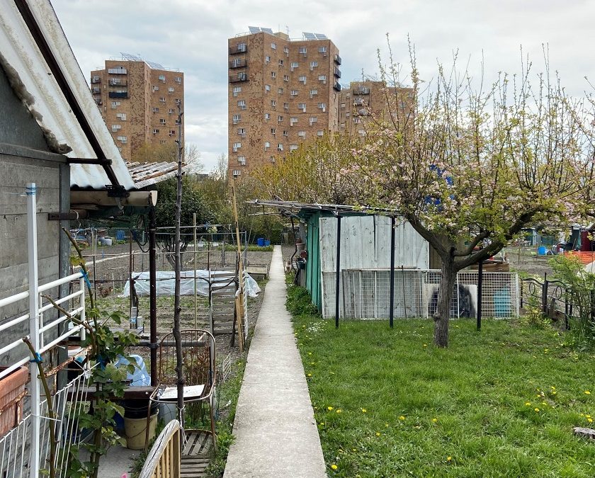 Jardins d’aubervilliers, la lutte continue