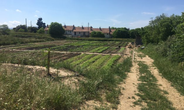 En route vers l’alimentation durable