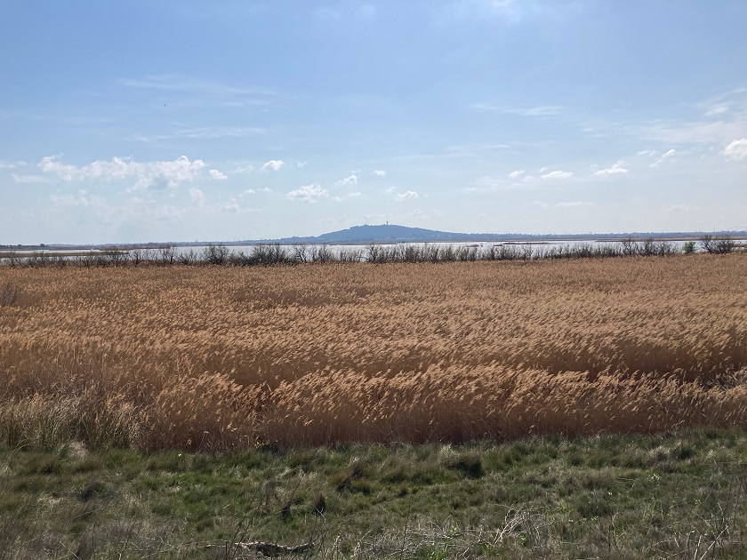 Autour de t’eau avec les élèves de Gigean !