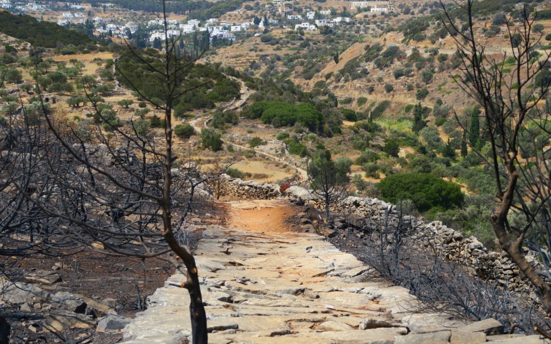 Face au changement climatique, les activités humaines rendent nos cadres de vie plus vulnérables