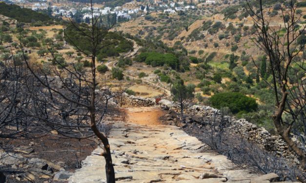 Face au changement climatique, les activités humaines rendent nos cadres de vie plus vulnérables